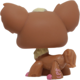 #1623 Chihuahua